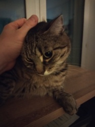 252a1d6a-c4c7-4861-909b-a390dc3f4858