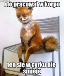 3e82f787-81f2-4b4a-ac07-121a2db11342