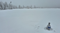 0de317f4-b431-44b6-9b03-a139a652133b