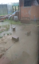 4a6a17ff-3e0d-4ece-949b-3b79313fc8ba