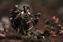 81448839-01de-4243-8d72-1eb8c3f75250