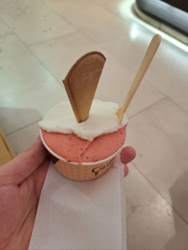 122bd88c-ec43-4944-aee3-20567cadcfd5