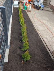 be9b3413-203a-4ea9-87e3-bc14ee923006