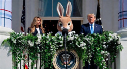 68902555-153d-45d2-8672-b6bfd5b4640b