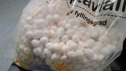 cd73705f-7bac-411a-9944-c0375d1652d1