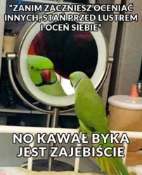 fc97f902-a189-4dd4-a1cd-599316d1850f