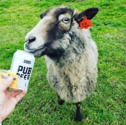 20130544-ca13-43b6-bdbe-3c4eda7fe2fb