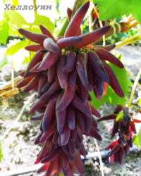 b2a79d74-0019-43e6-b3c7-0e283a55497d