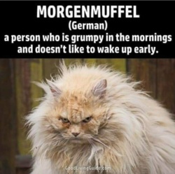 9b044488-bc5a-40b2-83dd-ee0bd428202a