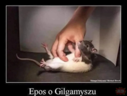 d2752fe6-12e9-445d-a5c7-3e5955e04262