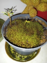 72d68a81-5075-49d7-b374-cab82d9774ce