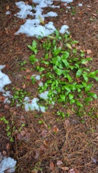 89fc8b16-39ac-4f47-85d0-550631c48881