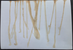 acc00e04-3963-4e24-999e-b0fe47ed325d