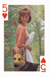 c5c71dfa-89a0-4cce-9b21-ca323fa9116e