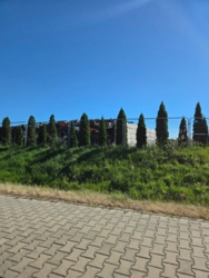 f93e6364-1949-4503-a8e6-db1b03e37137