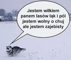 a0cf397e-9a08-4f7f-99fe-25bfe48b7266