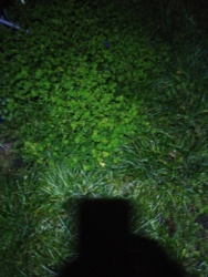 a01bf5d5-1892-486a-9913-dda4ab437d4e