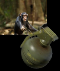 674405ba-d0a7-4b6b-bc7a-8f5395c14686