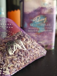 952429a8-ac96-4754-8364-2c79cc9d07a1