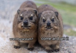 453e3c99-4089-43d4-b9a9-8e3cfd4e4def