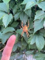 d44262ca-908d-4927-acbb-a6dcb9aedf6f