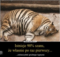 874fc4ca-c702-4a80-8037-3a3718fa6221