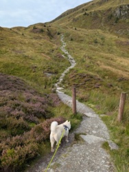 2803506d-61f7-41f9-a6ac-4783fcba2398