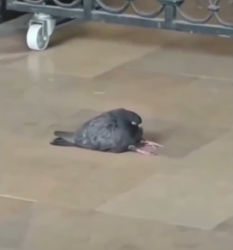 1d2f73df-1da9-474a-8852-919a8c7a917d