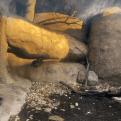 9ea9dcbc-14cb-4489-947c-8f231663006e