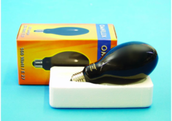 11de8463-8d0b-431f-81e4-2117c6141f58