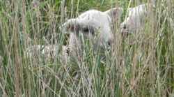 5b050065-26c3-474d-887e-c7b0920c2db9