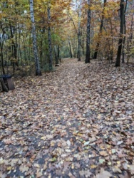 4122abc7-4975-4661-8adf-c9ce37e34f15