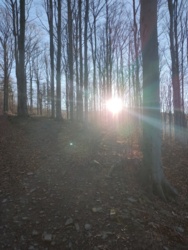 cb14515a-c2c9-4745-aa3a-88c6ea9e9514