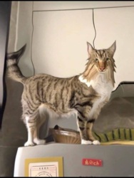 bb461114-c6bb-4e14-97db-1bde4904e46f