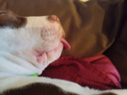 9ce7d5cc-d608-4b25-8ea5-892572e57de5