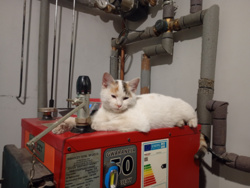 41a3ca32-363c-4a0a-a7af-59c8d4a769ca