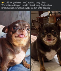 68d3cf5f-f54f-4df9-9fcf-3d74b6917a30