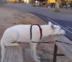 6c693ec0-841f-4197-9696-456b46b7d3b1