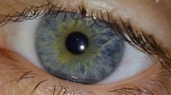 93035065-e923-4b9e-a86d-c395f203c507