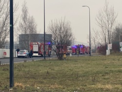 ce32597e-d446-4503-a25a-a0ecca3fef3f