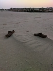 bff5a5db-3889-4af4-85d6-d1a97031a643