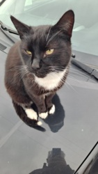 09fcebd4-428c-4a38-a95b-825f66a5244d