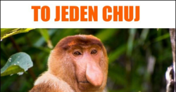 16fe3bb8-0190-4d80-9a53-e56796083e67