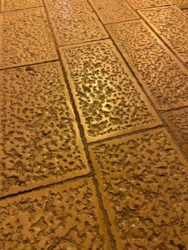 7666f2be-95f2-45d8-87e1-a7e617e94ce5