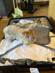 62c61acf-111e-4e52-b48b-db80967180fe