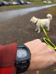 da6cb701-8dd8-4fb4-a8b6-3704915f56c6