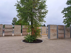 86c6703e-071c-4fc7-bba7-f4552c903b79