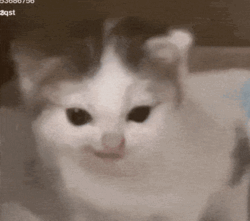 cfc8cfec-5c0b-4779-8ca1-9cc577f10e41