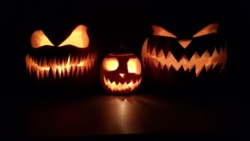 751dd3dc-a0bb-476f-8814-893e94a9d1c8