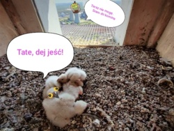 2f0a5707-125e-4241-aebd-b35709fec419